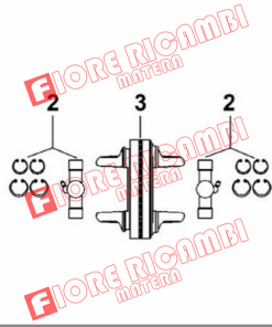 Alternative view of 37721 FORCELLA